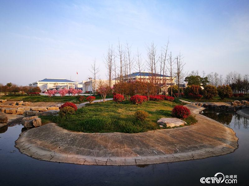 小岗村打造美丽乡村，每年来参观学习的人络绎不绝。（图片由小岗村提供）
