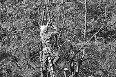 各方助力 铺设平安暖心回家路