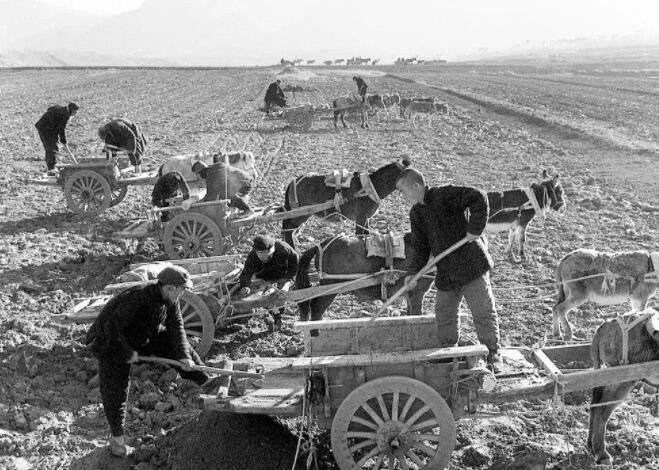 首页 第一新闻 国内要闻         1950年冬天开始,土地改革在全国展开