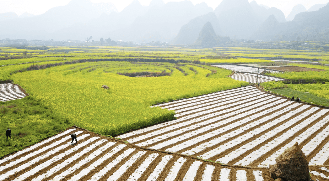 WX20200221-183646@2x.png WX20200221-183646@2x.png