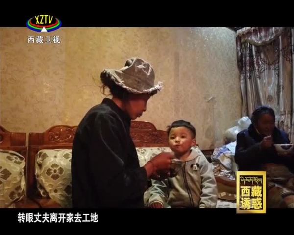 《西藏诱惑》岗堆盛开幸福花