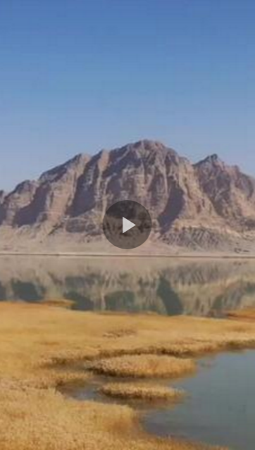 幸福花开新边疆# 新疆生产建设兵团第三师图木舒克市海师图的芦苇荡