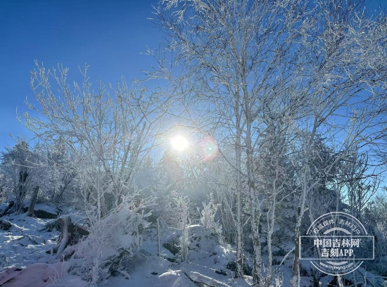 201DE0D5-3843-47C6-B273-8D8AD93A1B6F.jpeg 201DE0D5-3843-47C6-B273-8D8AD93A1B6F.jpeg