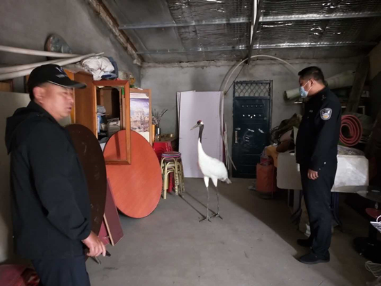 图片1.jpg 图片1.jpg