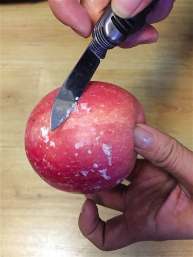 128854270_14594613805101n.jpg 128854270_14594613805101n.jpg