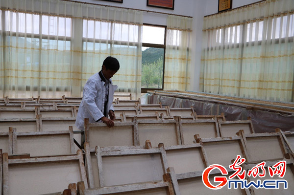 【新时代·边疆行】西藏米林:特色产业是脱贫致富的“钱袋子” 【新时代·边疆行】西藏米林:特色产业是脱贫致富的“钱袋子”