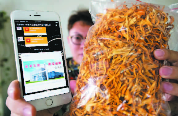 李明展示蛹虫草和手机红包领取时间 李明展示蛹虫草和手机红包领取时间