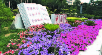 花园般的新民广场 花园般的新民广场