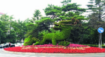 花园般的新民广场 花园般的新民广场