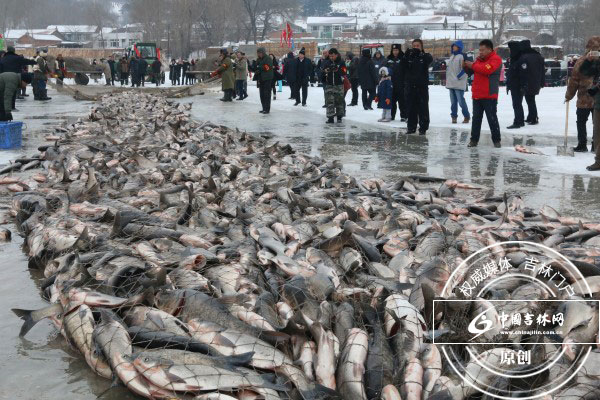 2017年长春石头口门水库冬捕开网 2017年长春石头口门水库冬捕开网