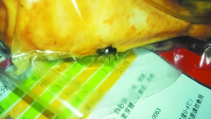 res01_attpic_brief.jpg res01_attpic_brief.jpg