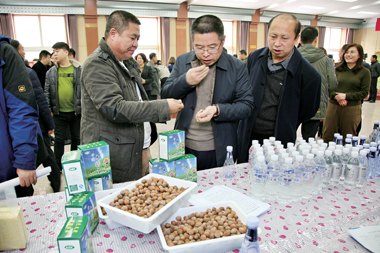 20170104093234973497.jpg 20170104093234973497.jpg