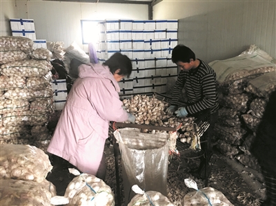 res01_attpic_brief (1).jpg res01_attpic_brief (1).jpg