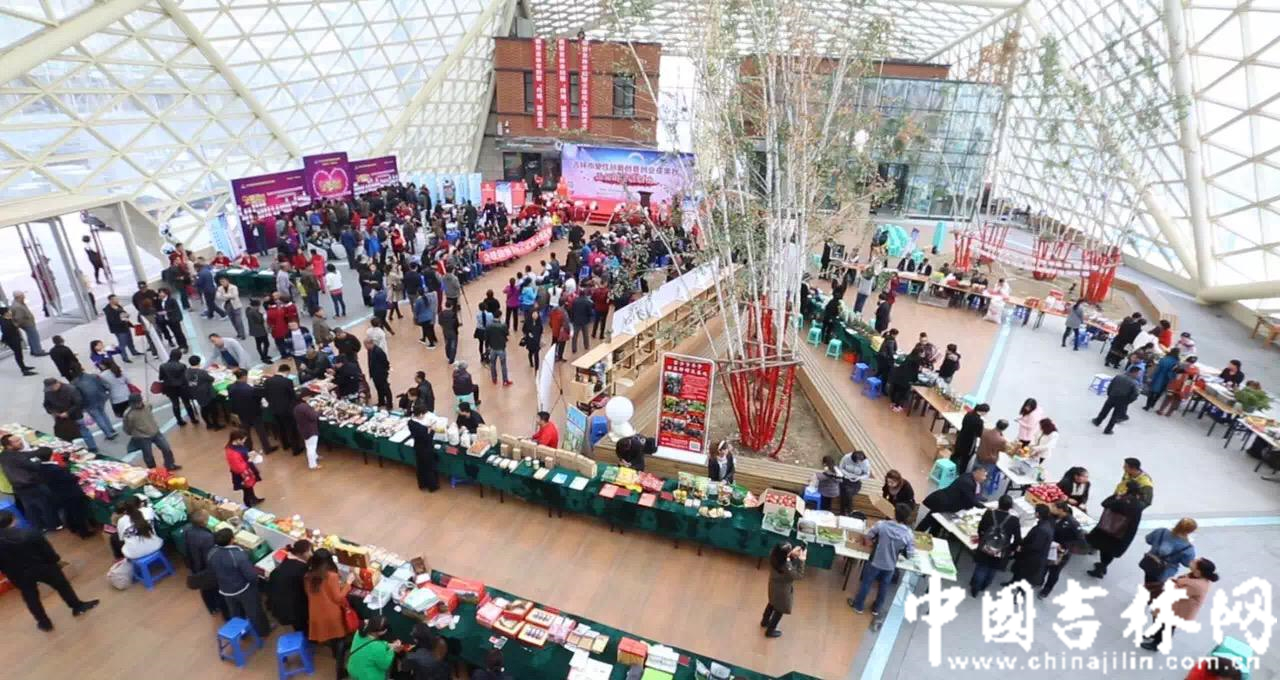 吉林市召开创业者相亲会 巧姐网姐女经纪人与创客双联姻.jpg 吉林市召开创业者相亲会 巧姐网姐女经纪人与创客双联姻.jpg