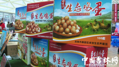 吉林市召开创业者相亲会 巧姐网姐女经纪人与创客双联姻9.png