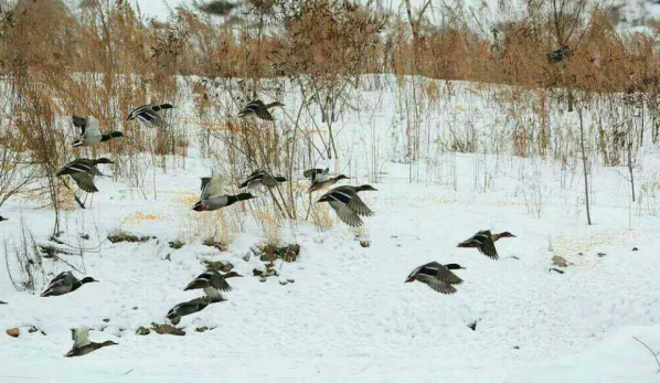 QQ图片20170223091832.png QQ图片20170223091832.png