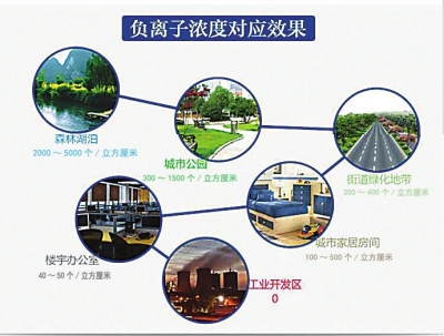 求证:负氧离子能干啥 求证:负氧离子能干啥