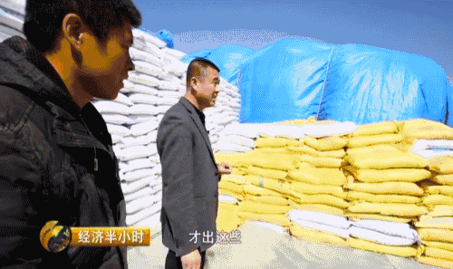 吉林省种粮大户开种“天价玉米” 卖价是普通的20倍 吉林省种粮大户开种“天价玉米” 卖价是普通的20倍