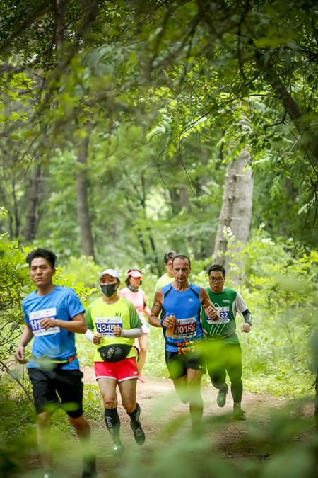 森林慢跑 森林慢跑