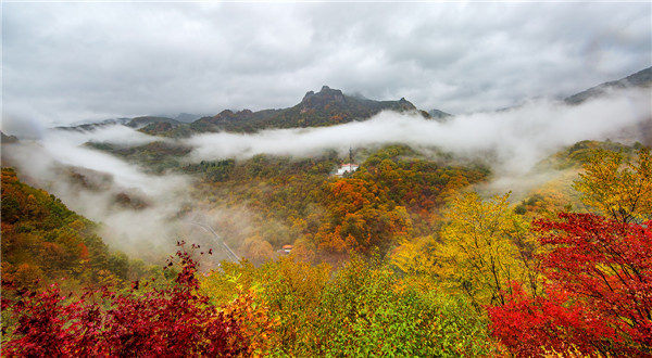 2.集安五女峰国家森林公园-王强.jpg 2.集安五女峰国家森林公园-王强.jpg