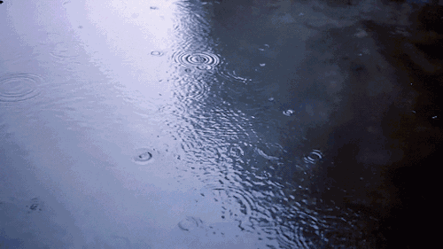 瞬间“黑”天！长春这场狂风大作的暴风雨，咋来的？