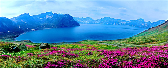 最惠长白——主图.jpg 最惠长白——主图.jpg