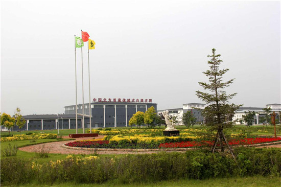 图片4.jpg 图片4.jpg