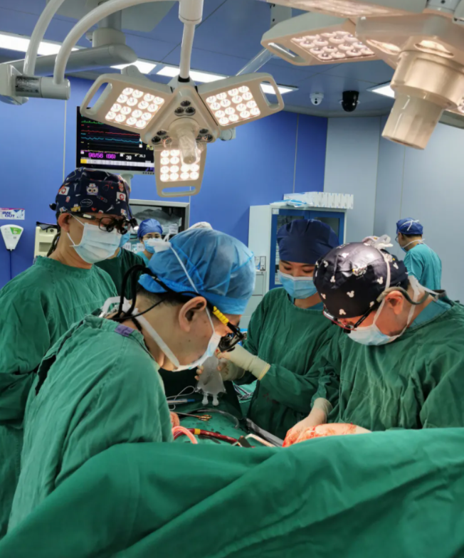 第二手术室配合下,带领心脏移植团队做手术)