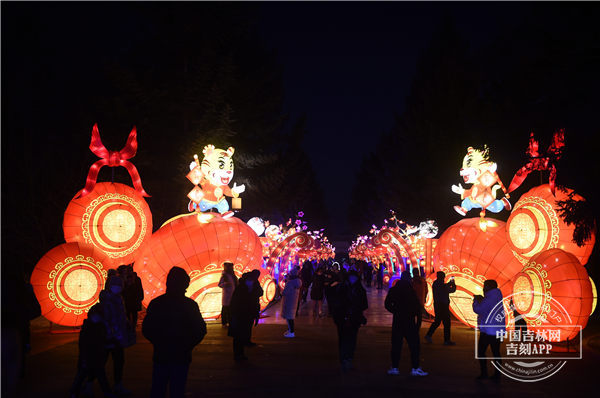 长春南湖公园冰雪灯光展 张秋磊.jpg 长春南湖公园冰雪灯光展 张秋磊.jpg