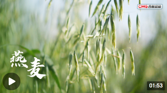 QQ截图20220709173958.png QQ截图20220709173958.png