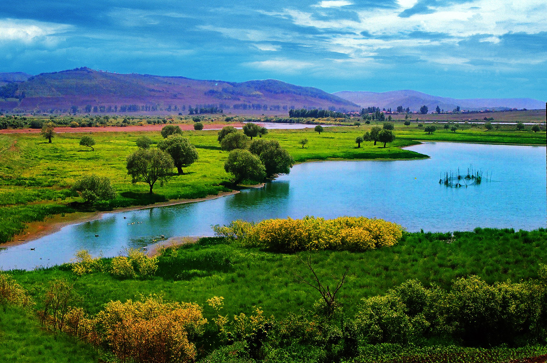 绘就秀美生态画卷建州70年延边生态环境保护工作回眸