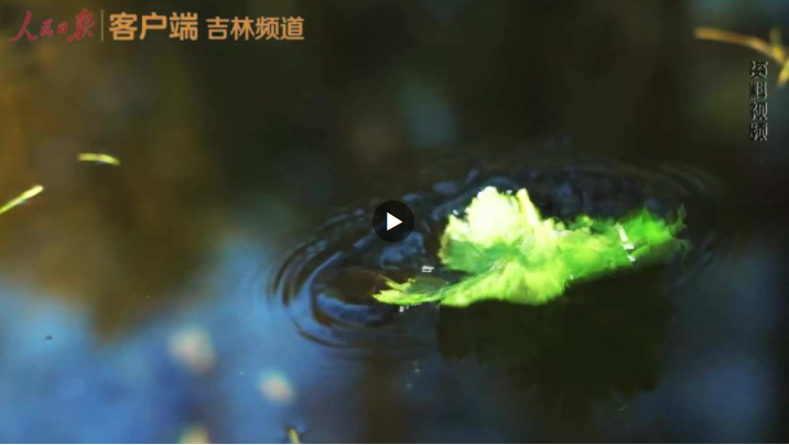 QQ截图20230213090159.png QQ截图20230213090159.png