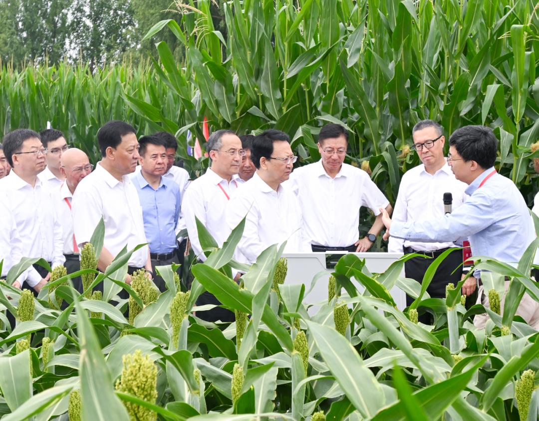 1b47df215f7d66dd01eea488d768beb6_640_wx_fmt=png&wxfrom=5&wx_lazy=1&wx_co=1.png 1b47df215f7d66dd01eea488d768beb6_640_wx_fmt=png&wxfrom=5&wx_lazy=1&wx_co=1.png