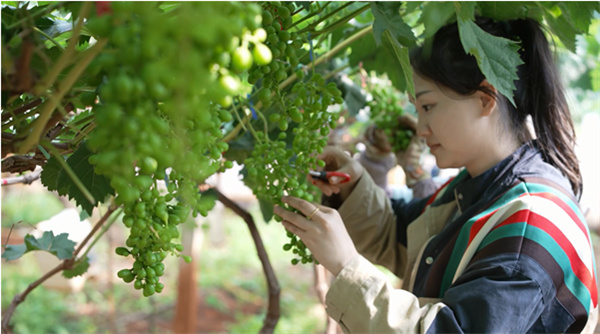 code_ynrb98322bf3-7260-4ee8-a218-4ed804f5dab6.jpg code_ynrb98322bf3-7260-4ee8-a218-4ed804f5dab6.jpg