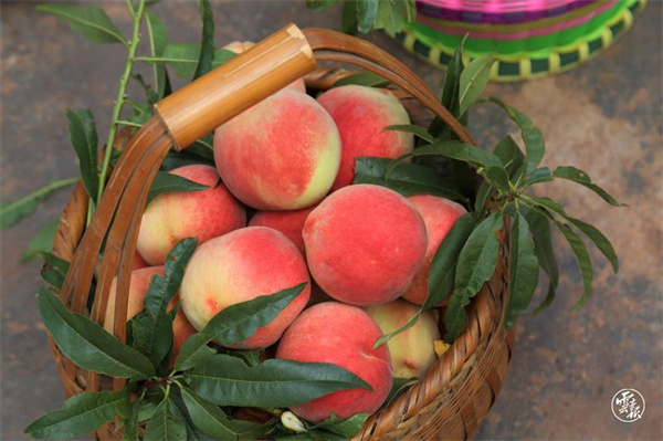 code_ynrb3c8ed86f-8a32-41ea-9112-b569800269fb.jpg code_ynrb3c8ed86f-8a32-41ea-9112-b569800269fb.jpg