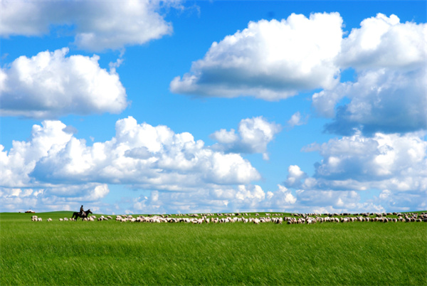 code_ynrb6ce8e8e4-0830-4e91-90c1-b3e05cd6e401.jpg code_ynrb6ce8e8e4-0830-4e91-90c1-b3e05cd6e401.jpg