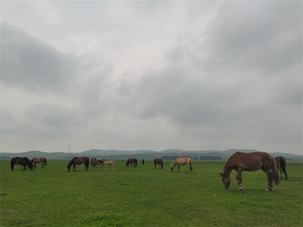 code_ynrb89ed0b19-9459-401f-b820-c18c1e91d830.jpg code_ynrb89ed0b19-9459-401f-b820-c18c1e91d830.jpg