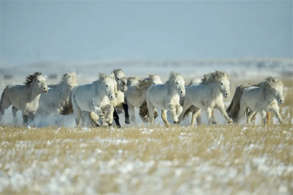 code_ynrbb63c93d3-e48d-43f8-8c23-1a9354b4f272.jpg code_ynrbb63c93d3-e48d-43f8-8c23-1a9354b4f272.jpg