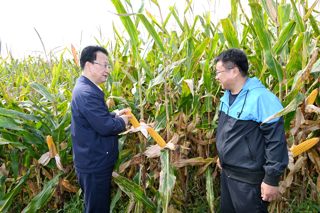 4c347491d5cee9f846c54a92b5211761_640_wx_fmt=png&wxfrom=5&wx_lazy=1&wx_co=1.png 4c347491d5cee9f846c54a92b5211761_640_wx_fmt=png&wxfrom=5&wx_lazy=1&wx_co=1.png