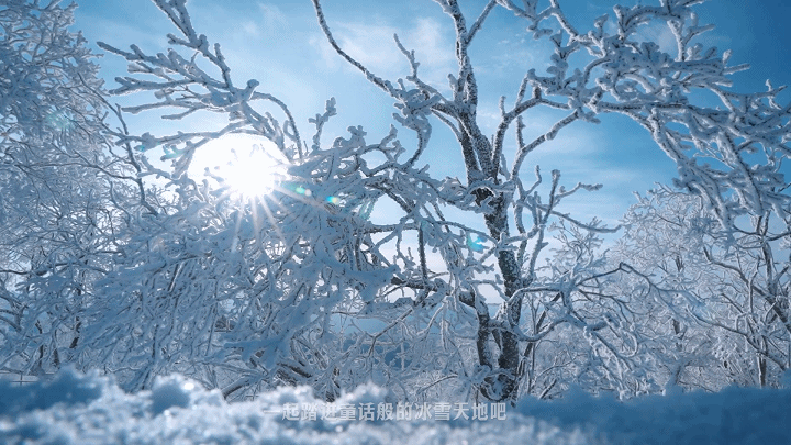 图片5.png 图片5.png