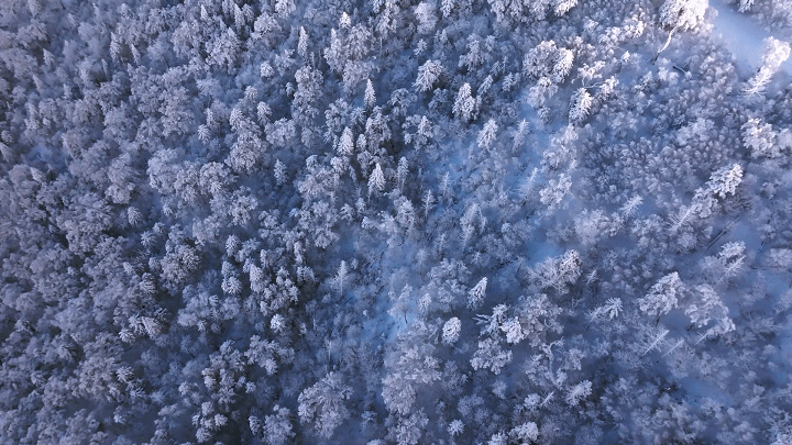 图片6.png 图片6.png