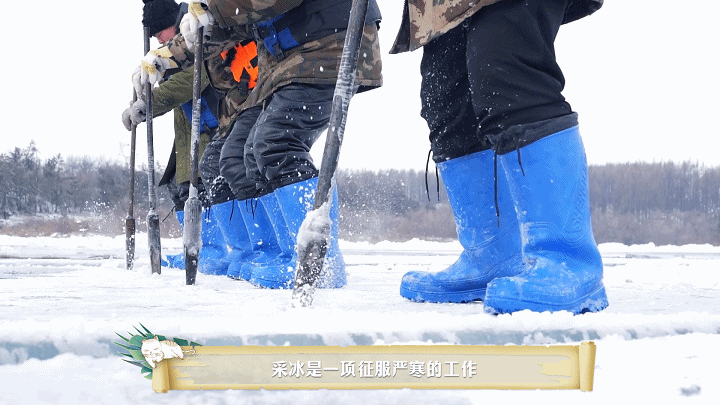 图片9.png 图片9.png