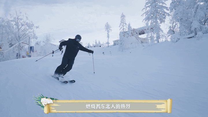 图片13.png 图片13.png