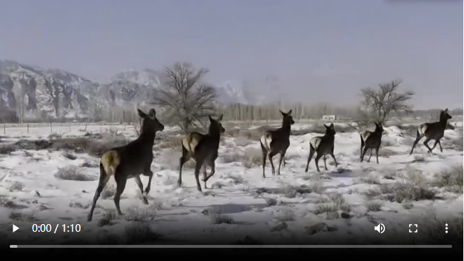 QQ截图20240118175326.png QQ截图20240118175326.png