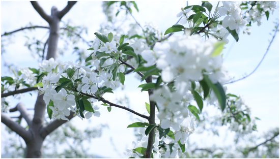 6228e45b-807f-489e-bfd0-f0f05aebc6dc.png 6228e45b-807f-489e-bfd0-f0f05aebc6dc.png