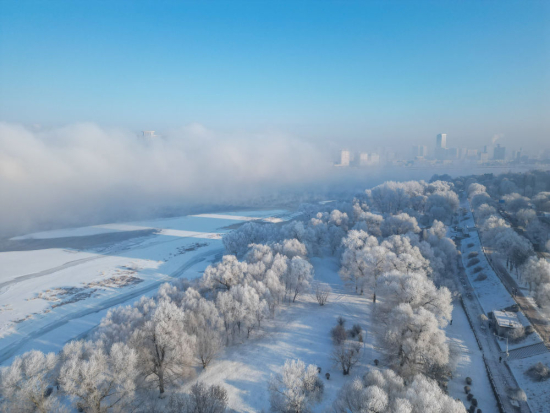 quality,Q_80 (6).jpg