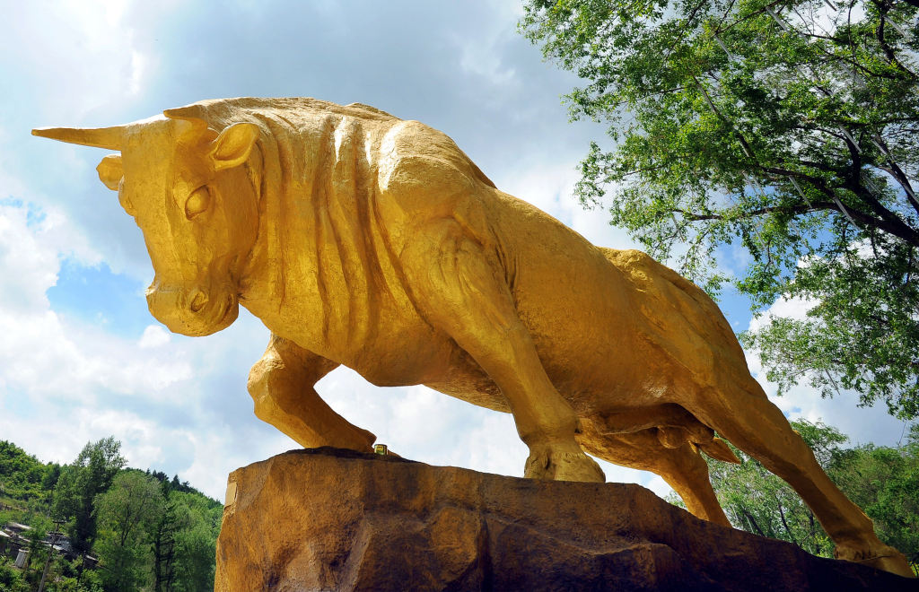 1754467573110_HpsJfH_1754467726030.jpg 1754467573110_HpsJfH_1754467726030.jpg