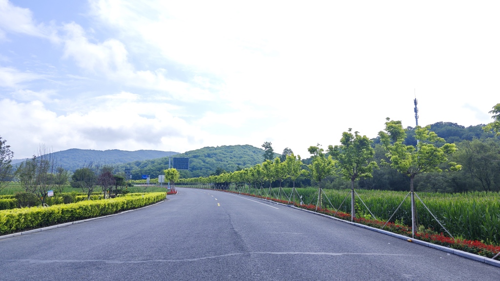 1754467594309_WrXSWQ_1754467726191.jpg 1754467594309_WrXSWQ_1754467726191.jpg