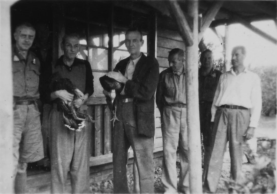 04.webp.jpg 04.webp.jpg