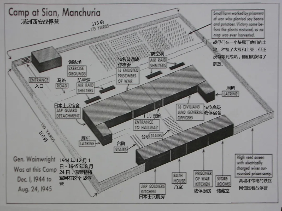 06.webp.jpg 06.webp.jpg